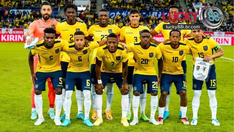 Đội Tuyển Bóng Đá Ecuador