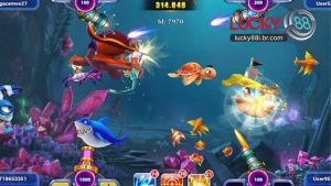 Săn Hũ Đại Dương